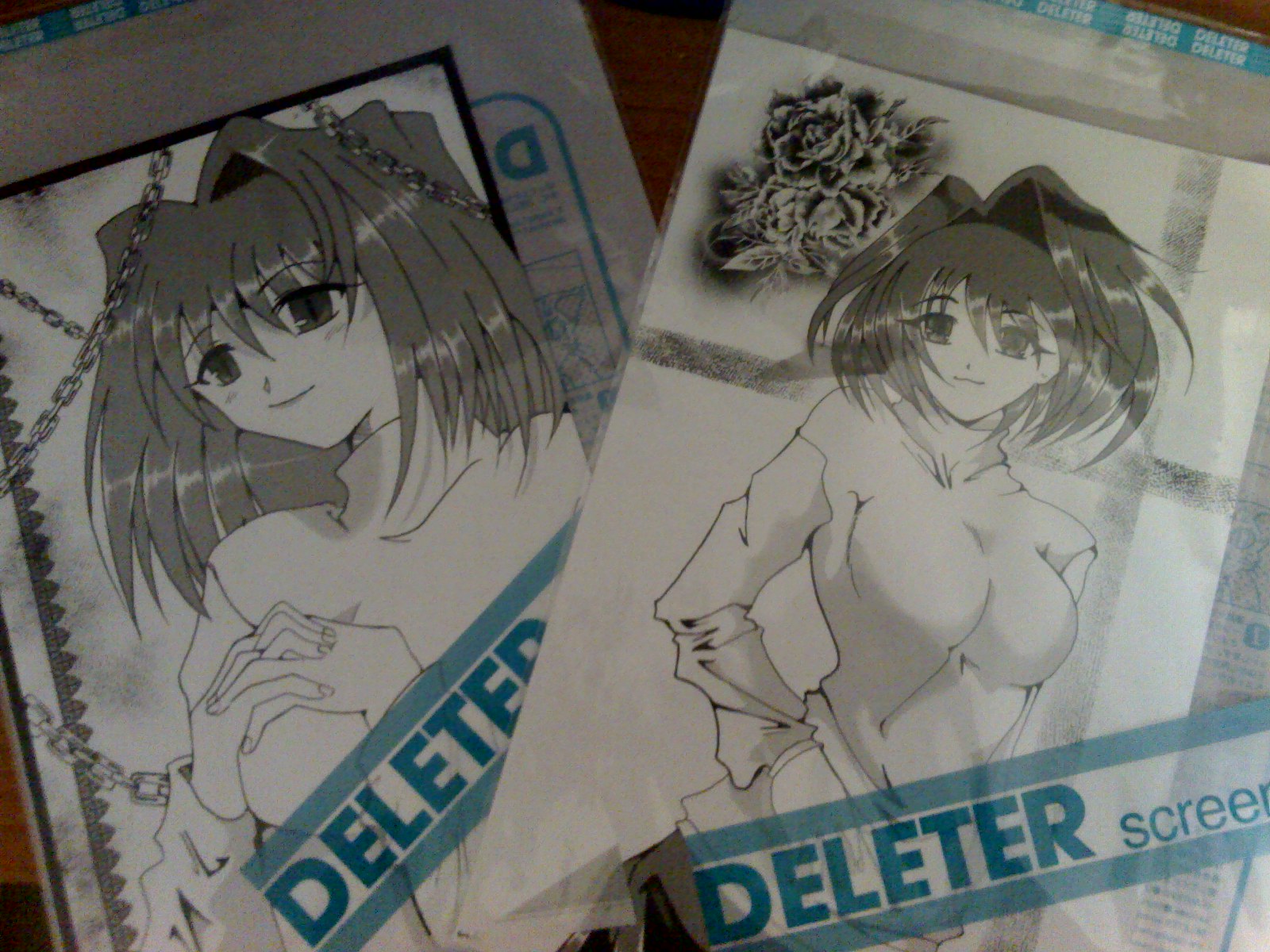 http://kardaloli.free.fr/Typemoon/08-09-07_1654.jpg