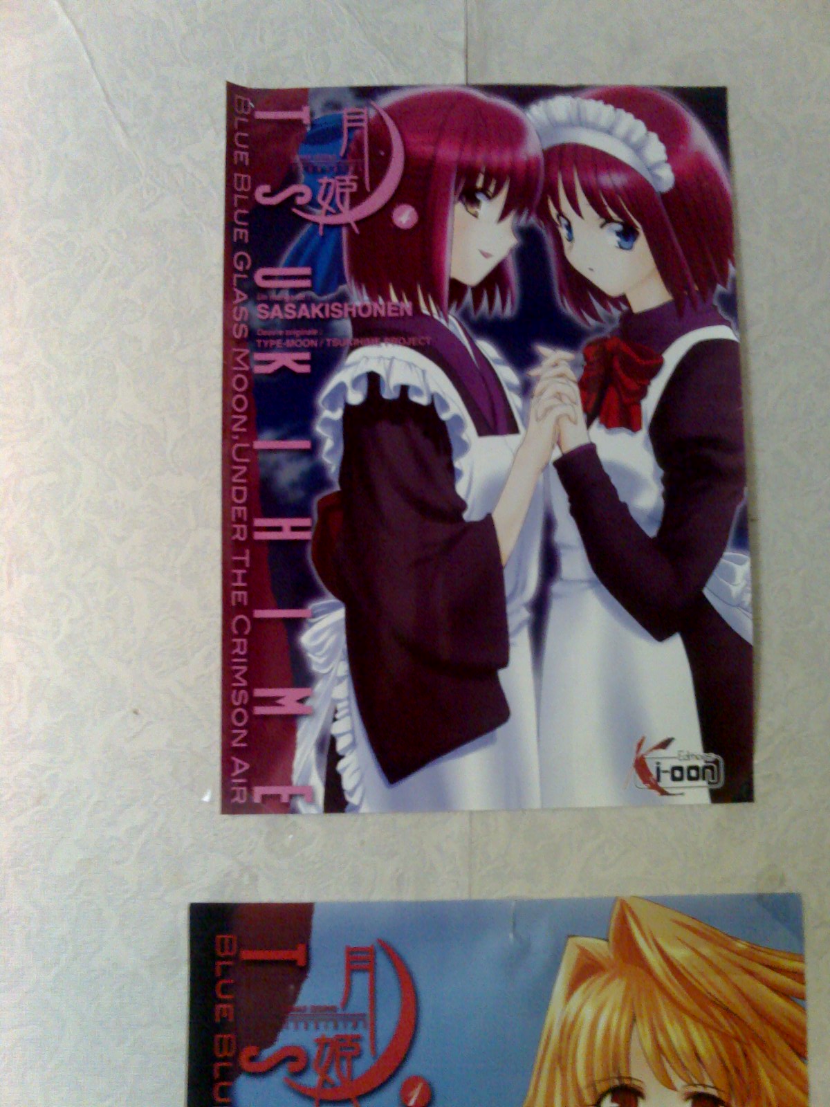http://kardaloli.free.fr/Typemoon/08-09-07_1655.jpg