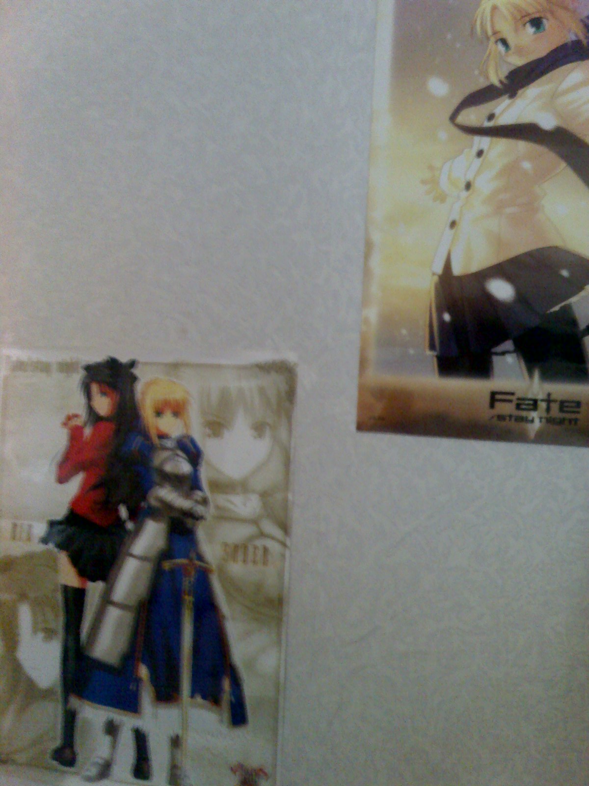 http://kardaloli.free.fr/Typemoon/08-09-07_1657.jpg
